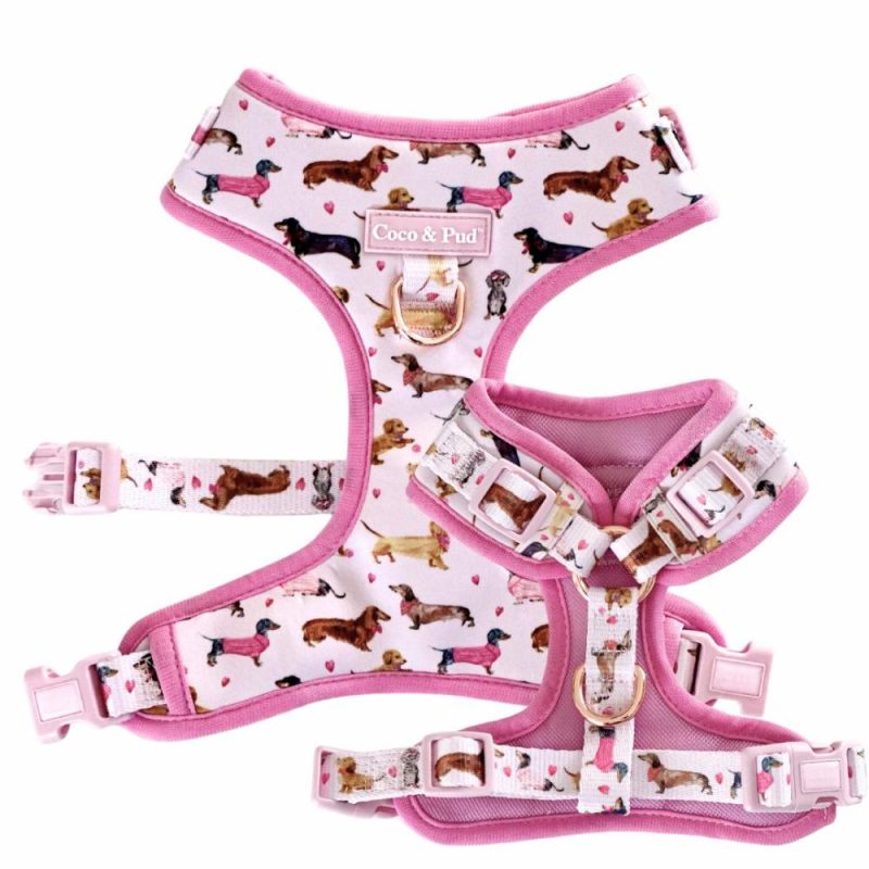 Adjustable Harnesses | Doxie Rose Adjustable Dog Harness