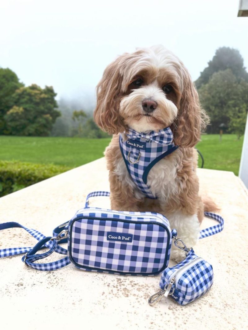 Adjustable Harnesses | Gingham French Navy Adjustable Dog Harness