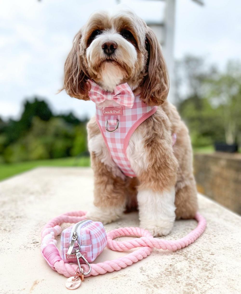 Adjustable Harnesses | Gingham Rose Adjustable Dog Harness