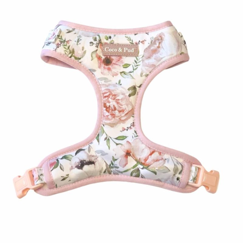 Adjustable Harnesses | Le Jardin Adjustable Dog Harness