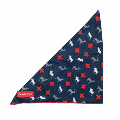 Bandanas | Adventure Dog Bandana