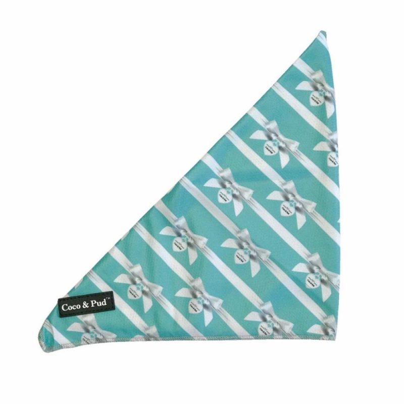 Bandanas | Audrey Cat Bandana