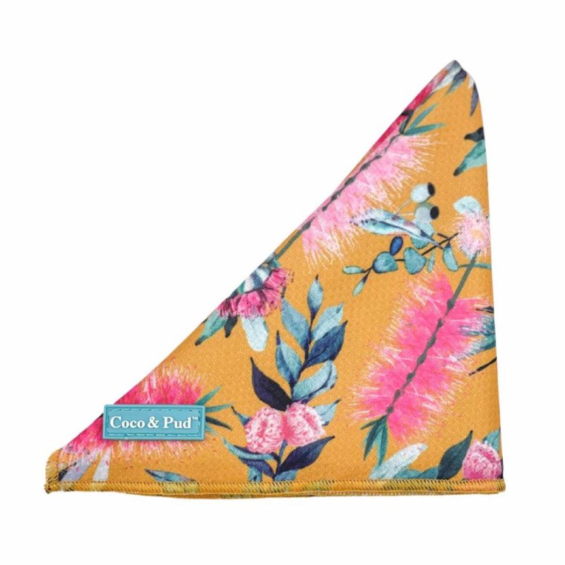 Bandanas | Brush With Nature Cat Bandana