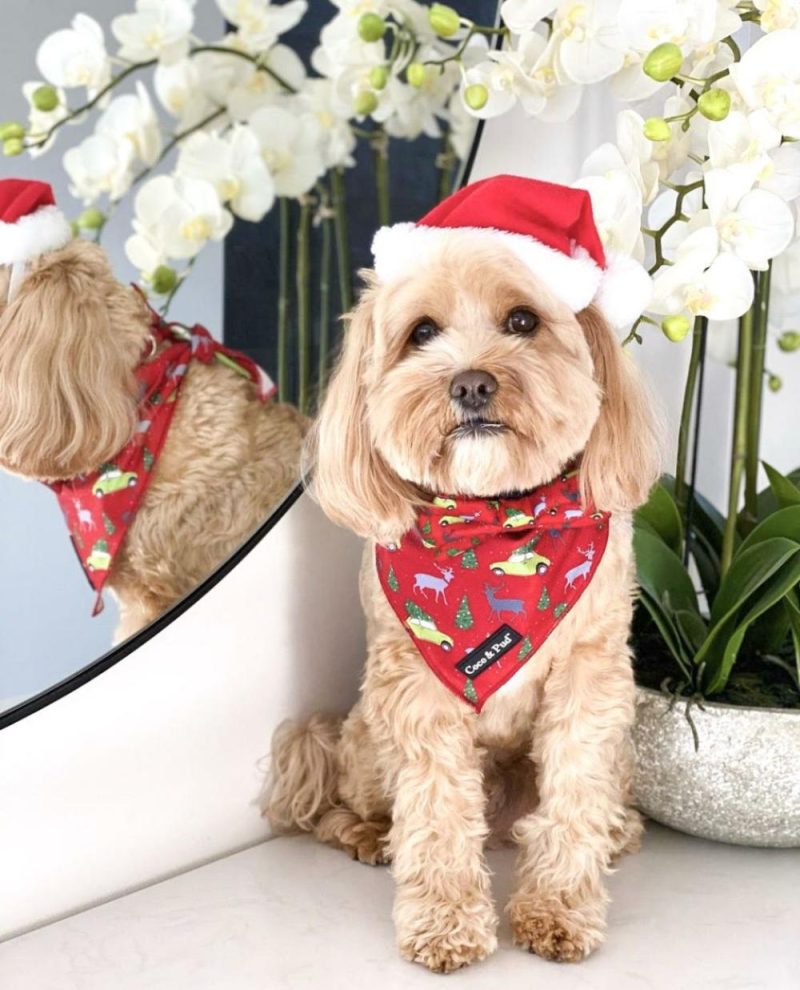 Bandanas | Deck The Paws Christmas Dog Bandana