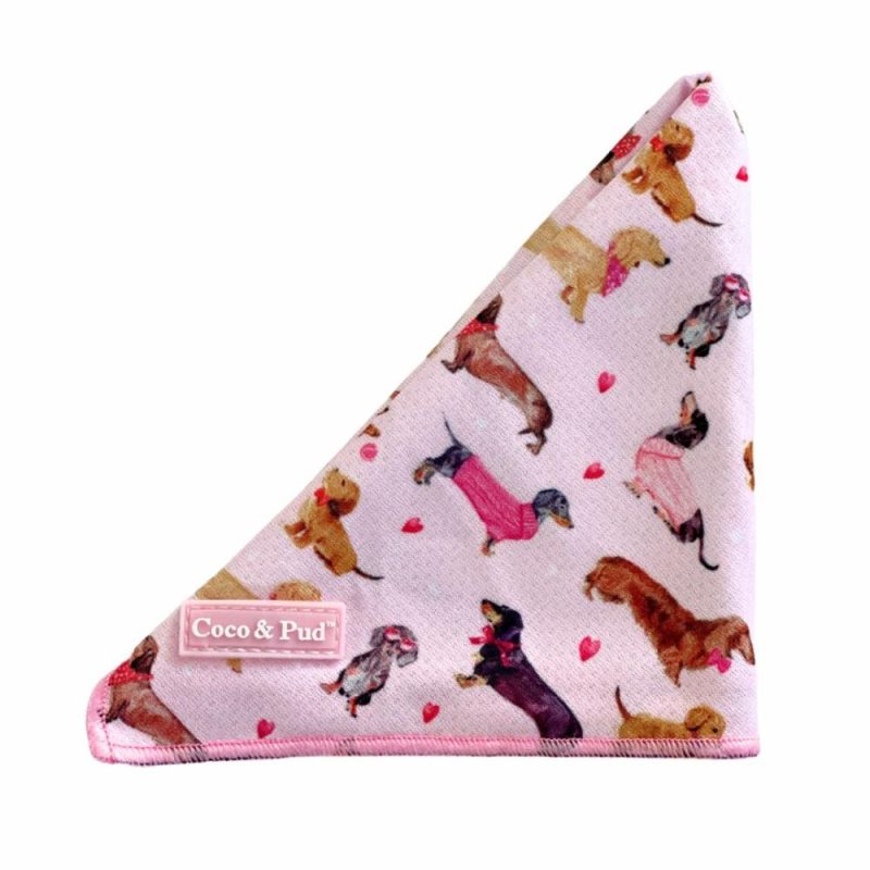 Bandanas | Doxie Rose Dog Bandana