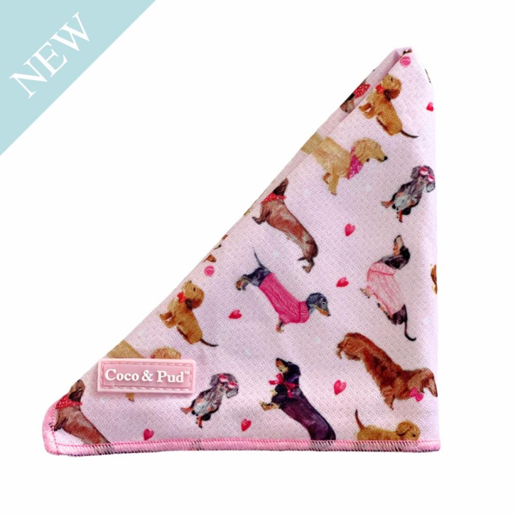 Bandanas | Doxie Rose Dog Bandana