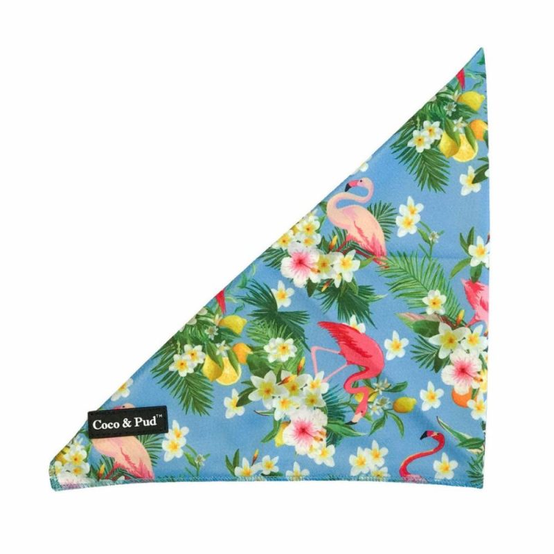 Bandanas | Flamingo Tropical Cat Bandana