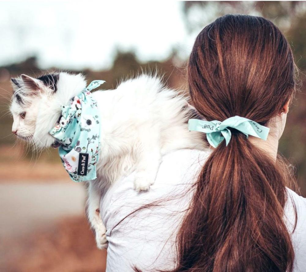 Bandanas | French Azure Cat Bandana