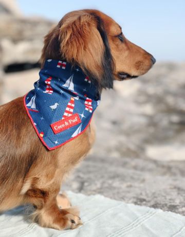 Bandanas | Hamptons Dog Bandana