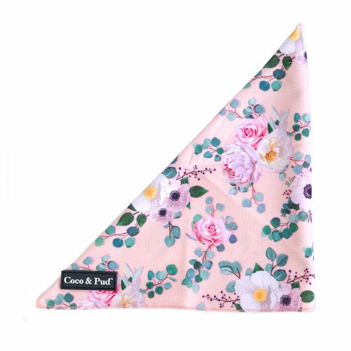 Bandanas | Provence Rose Cat Bandana