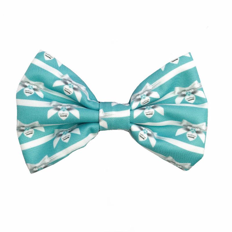 Bow Ties | Audrey Dog Bow tie