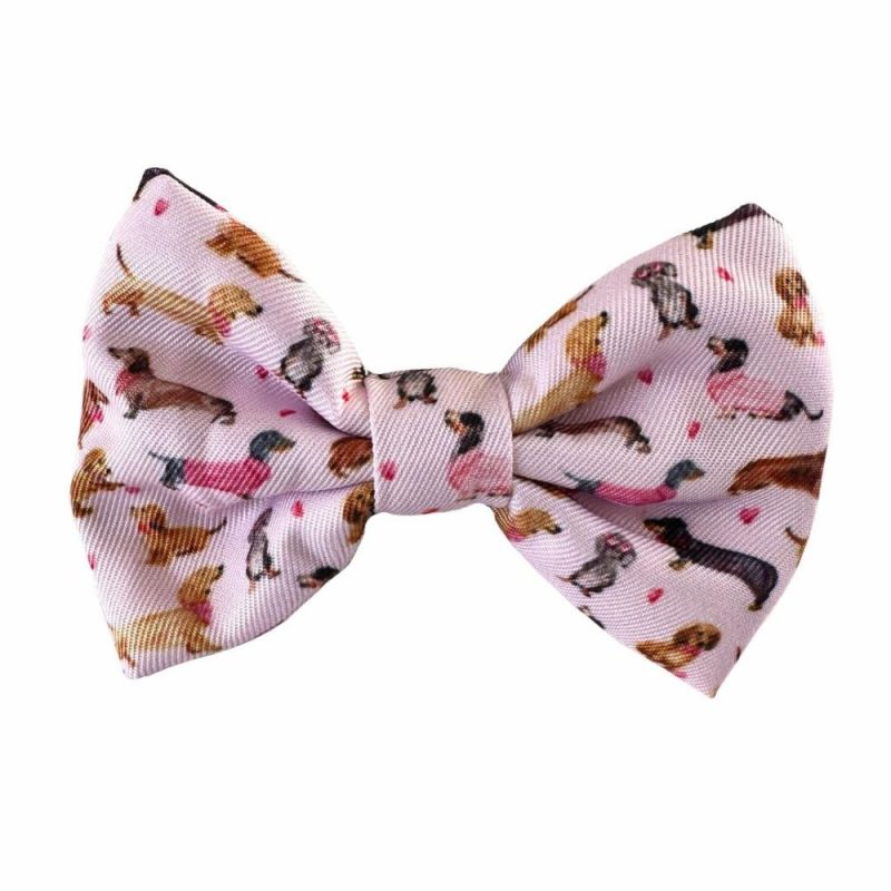 Bow Ties | Doxie Rose Cat Bow tie