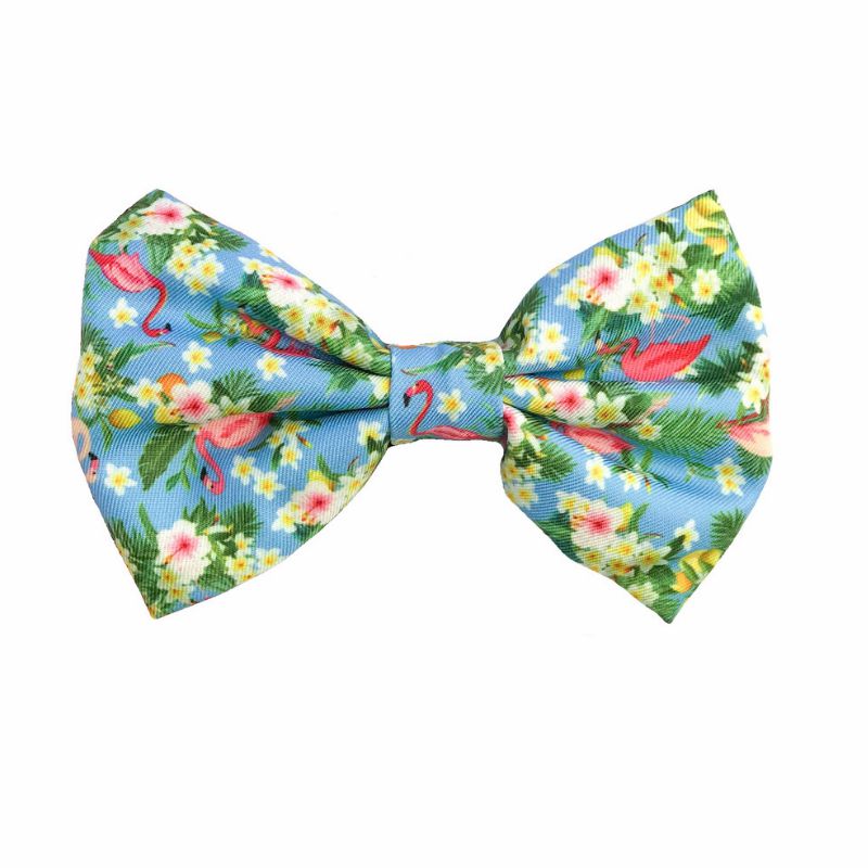 Bow Ties | Flamingo Tropical Dog Bow tie