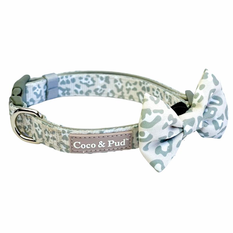 Collars | Amur Leopard Dog Collar