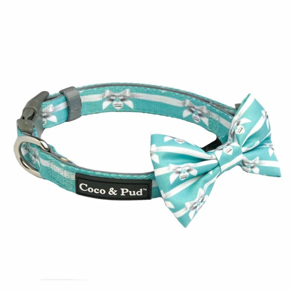 Collars | Audrey Dog Collar