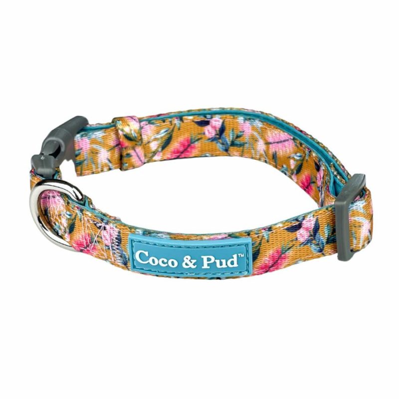 Collars | Brush With Nature Dog Collar