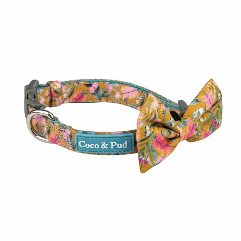 Collars | Brush With Nature Dog Collar