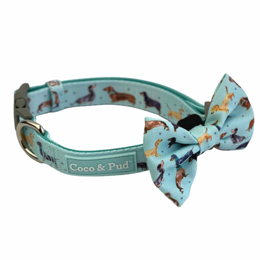 Collars | Doxie Love Dog Collar