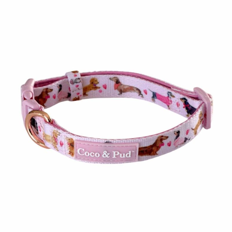 Collars | Doxie Rose Dog Collar