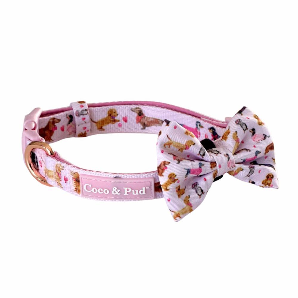 Collars | Doxie Rose Dog Collar