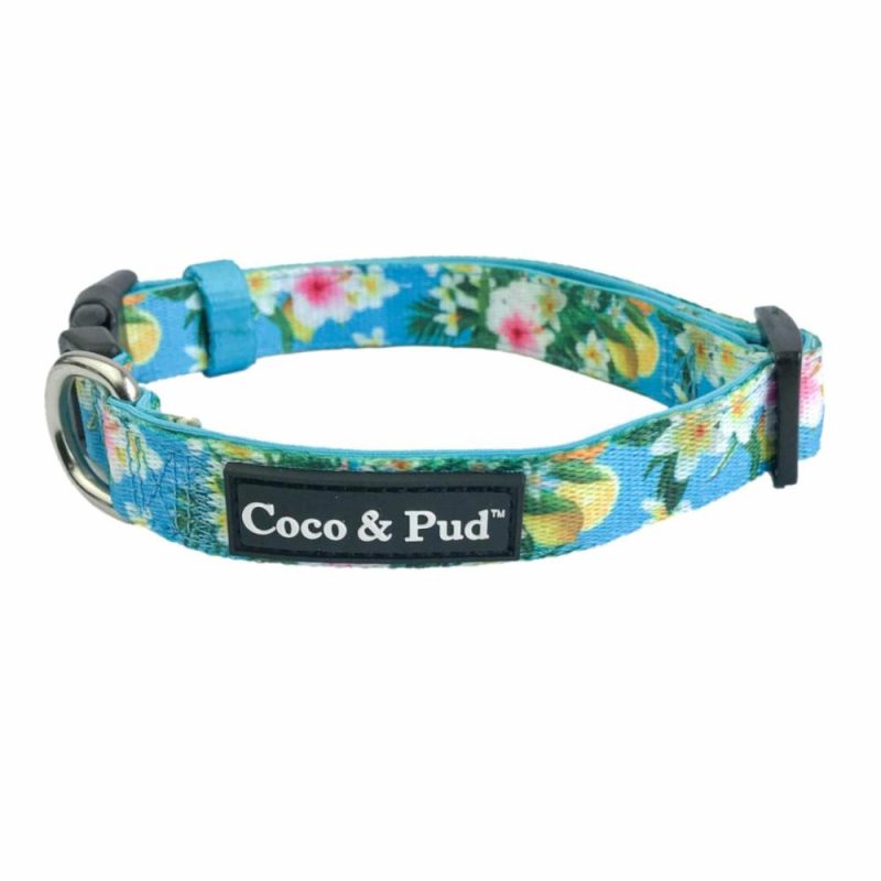 Collars | Flamingo Tropical Dog Collar