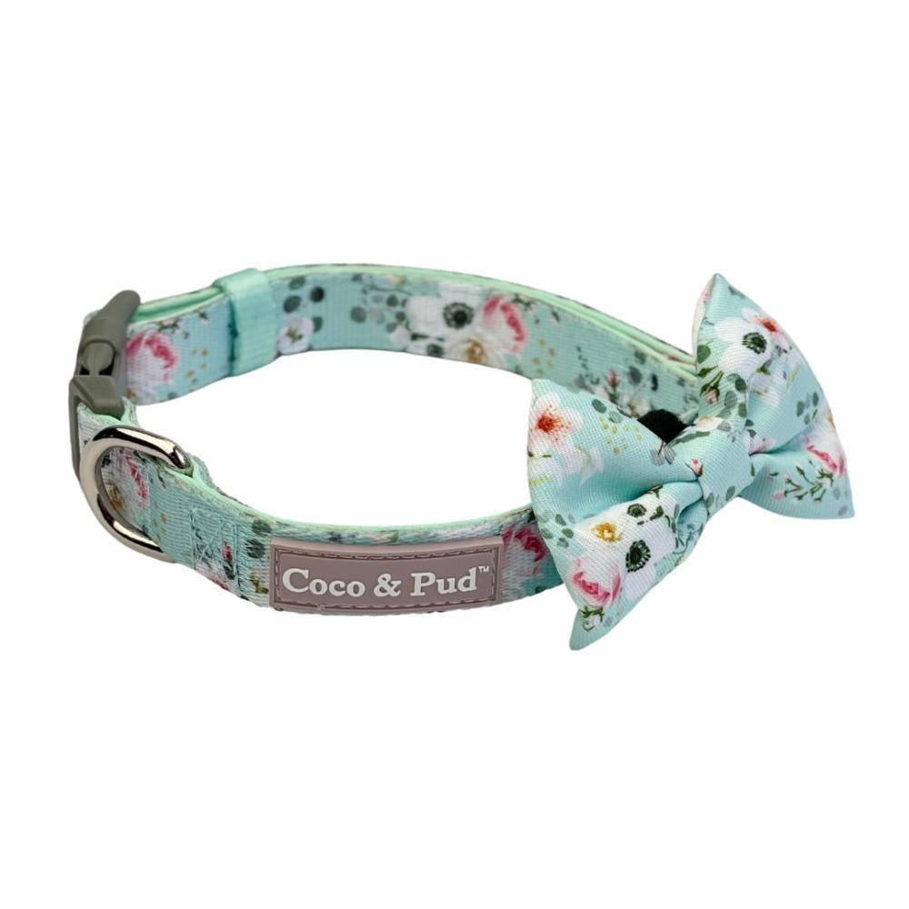 Collars | French Azure Dog Collar