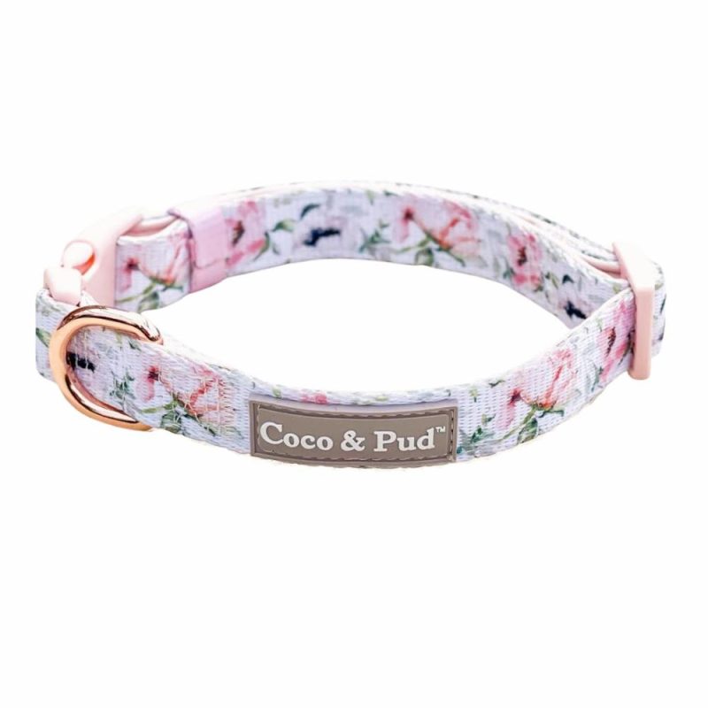 Collars | Le Jardin Dog Collar