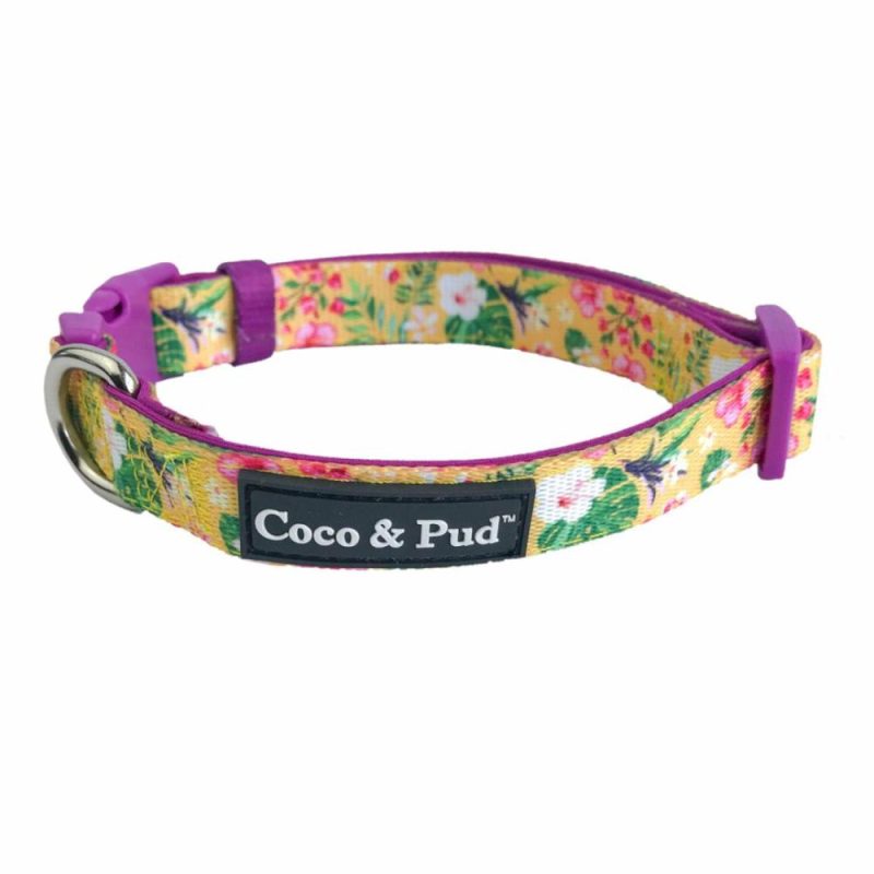 Collars | Summer Sunrise Dog Collar