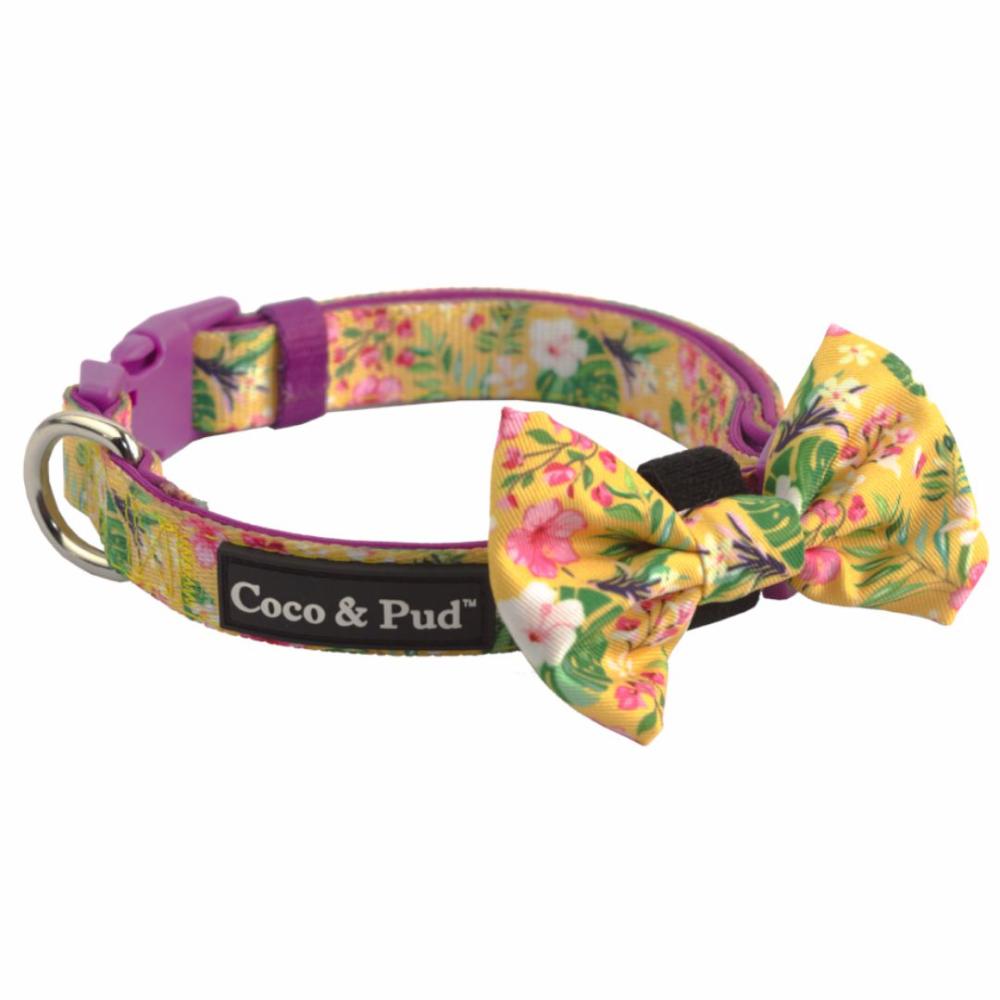 Collars | Summer Sunrise Dog Collar