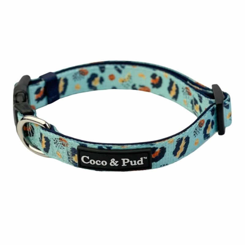 Collars | Walk on the Wild Side Dog Collar