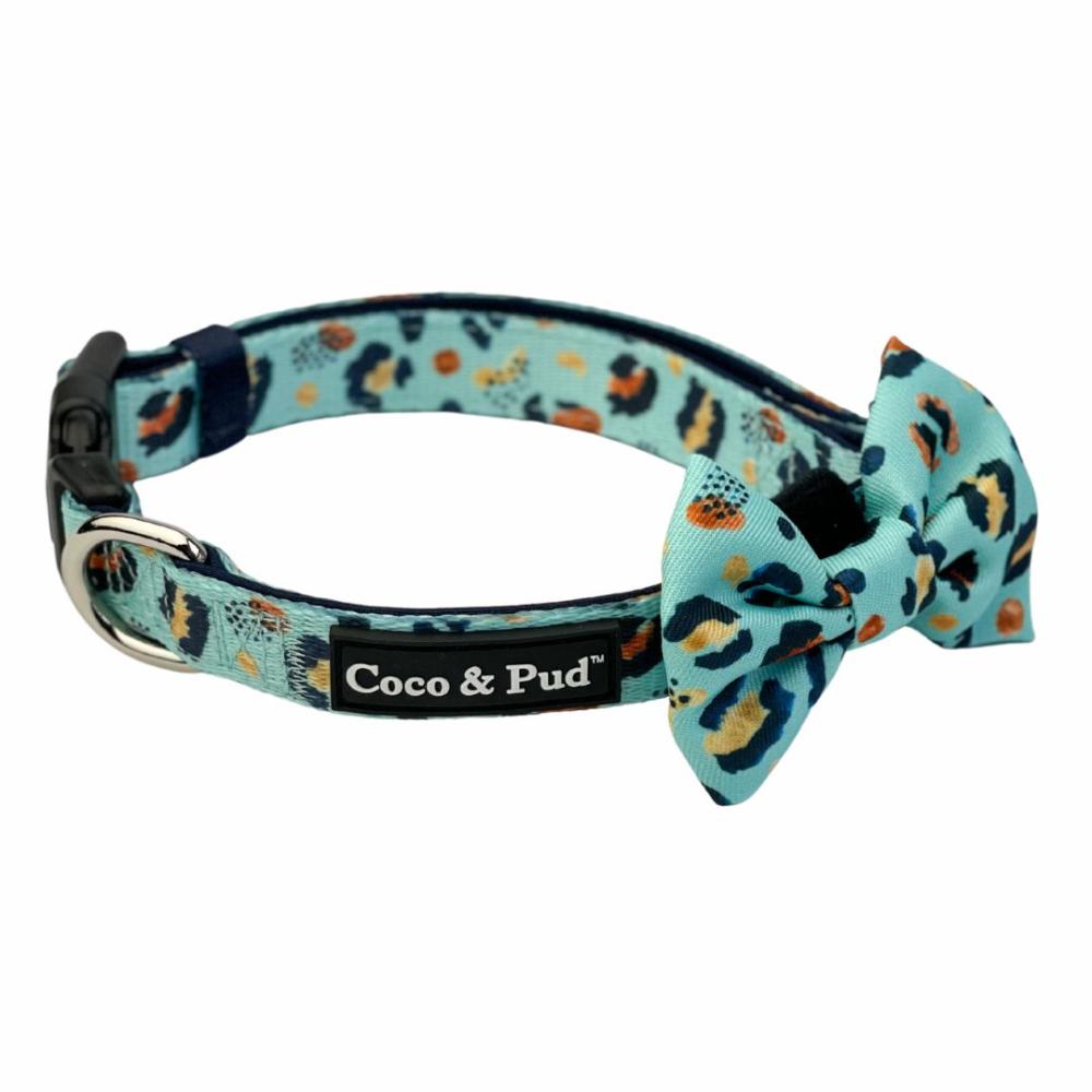 Collars | Walk on the Wild Side Dog Collar