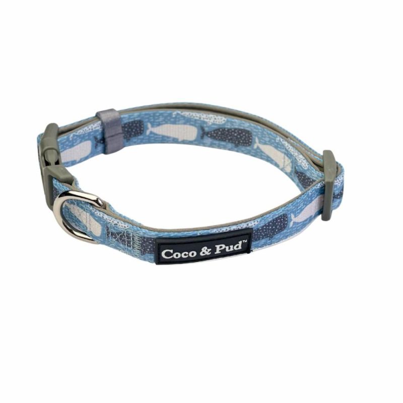 Collars | Whale of a Time Dog Collar