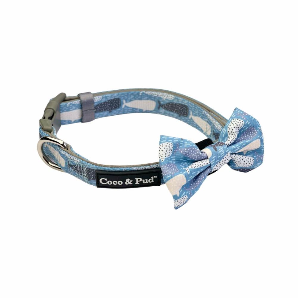 Collars | Whale of a Time Dog Collar