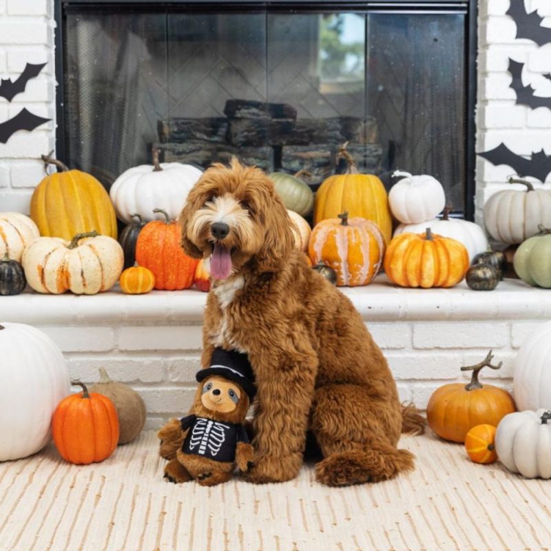 Halloween | Trick or Sleep Halloween Dog Toy