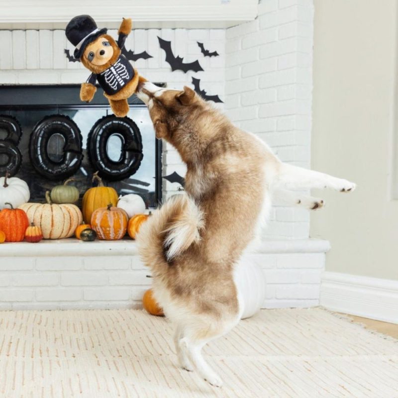 Halloween | Trick or Sleep Halloween Dog Toy