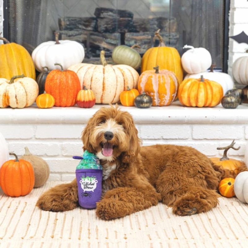 Halloween | Witches Brew Halloween Dog Toy