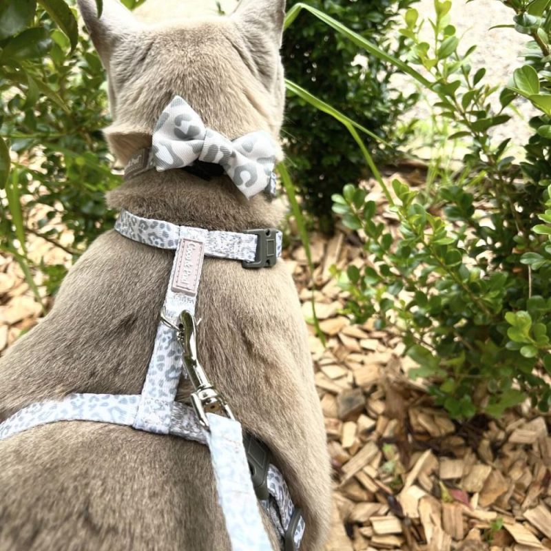 Harnesses | Amur Leopard Cat/ Puppy Harness