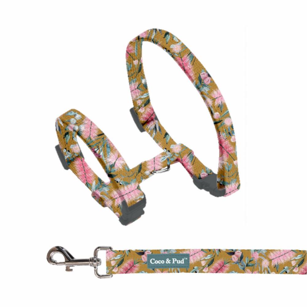 Harnesses | Brush With Nature Cat/ Puppy Harness