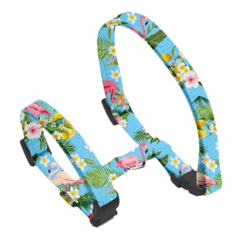 Harnesses | Flamingo Tropical Cat/ Puppy Harness