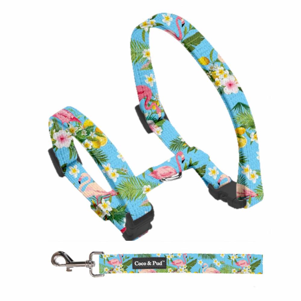 Harnesses | Flamingo Tropical Cat/ Puppy Harness