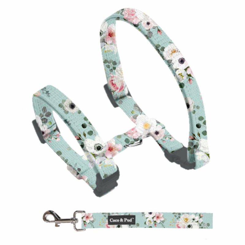 Harnesses | French Azure Cat/ Puppy Harness