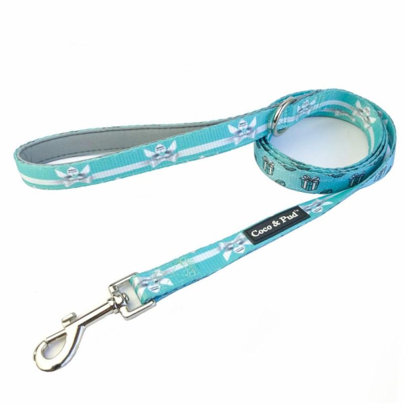 Leads | Audrey Reversible Dog lead/ Leash