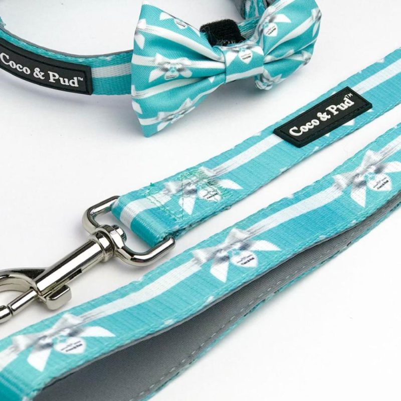 Leads | Audrey Reversible Dog lead/ Leash