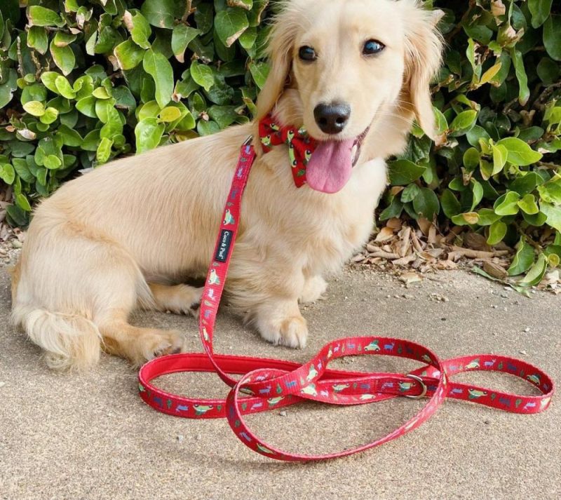 Leads | Deck The Paws Christmas Dog lead/ Leash