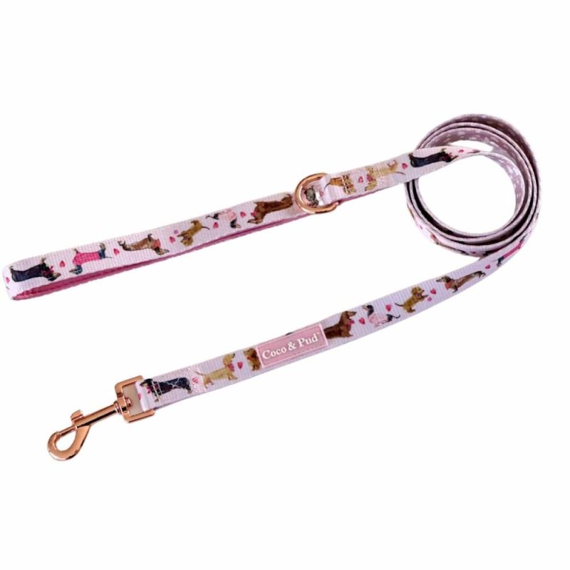 Leads | Doxie Rose Dog lead/ Leash