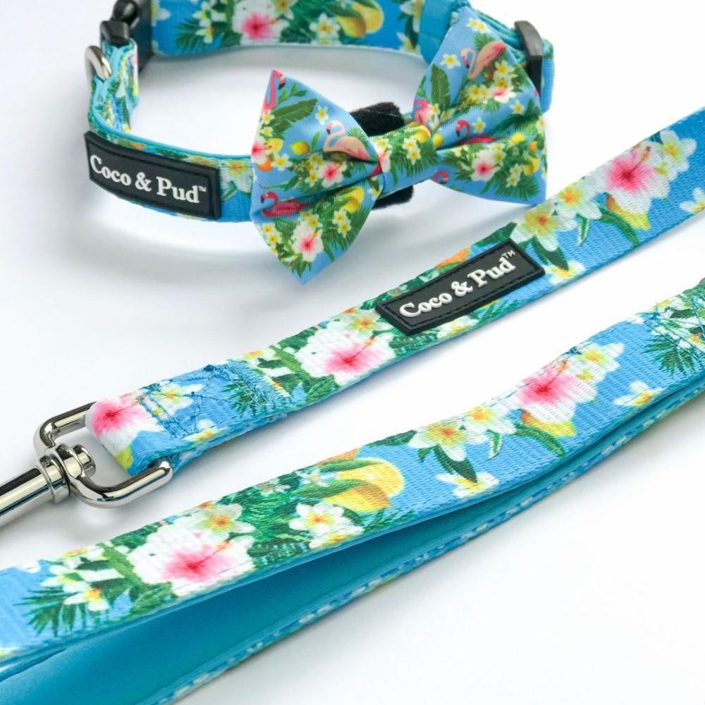 Leads | Flamingo Tropical Reversible Dog lead/ Leash