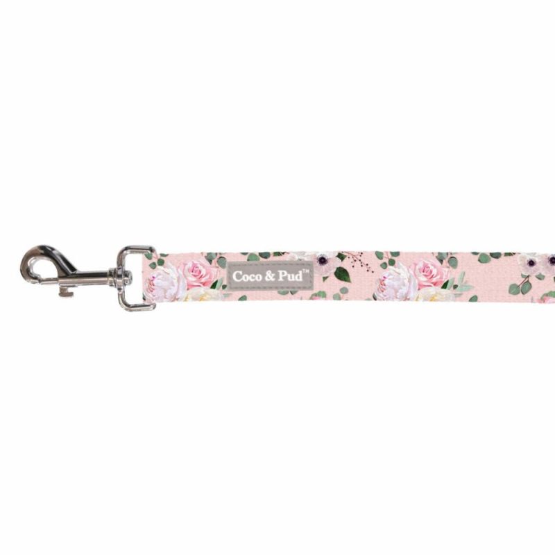 Leads | Provence Rose Cat Lead