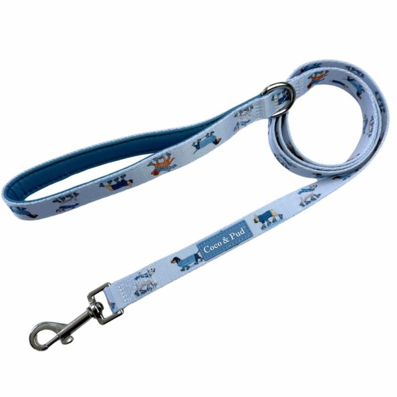 Leads | Skating Dogs Dog lead/ Leash