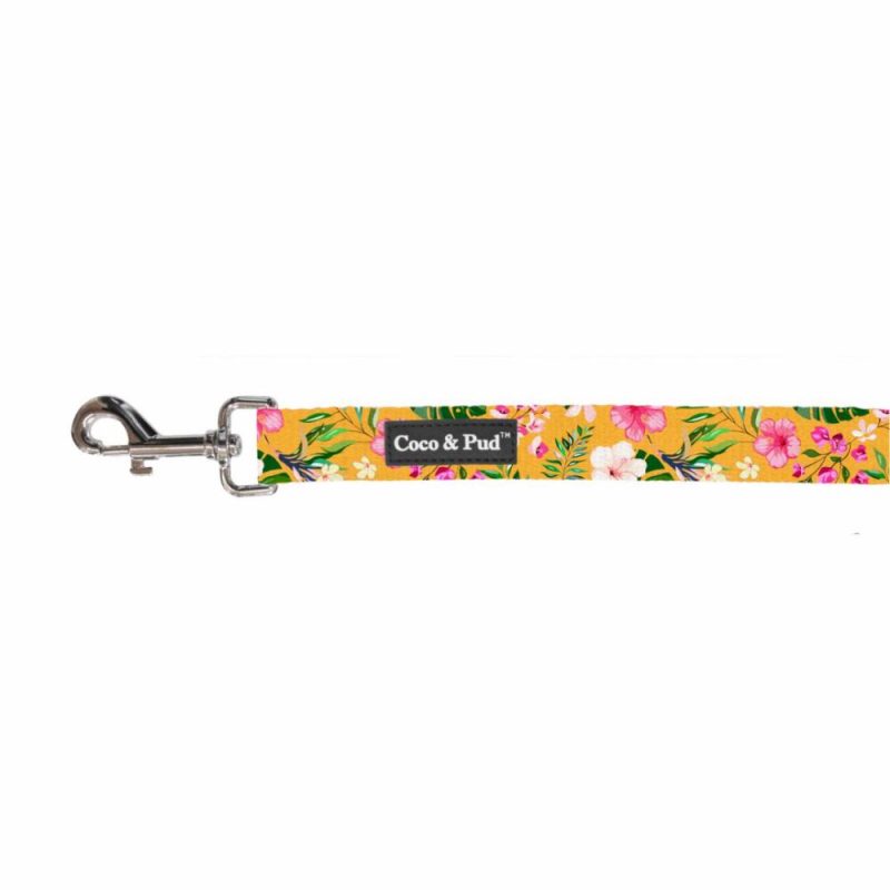 Leads | Summer Sunrise Cat Lead