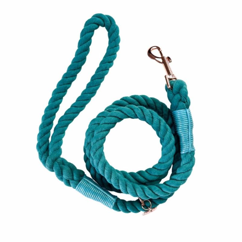 Leads | Teal Rope Lead/ Leash